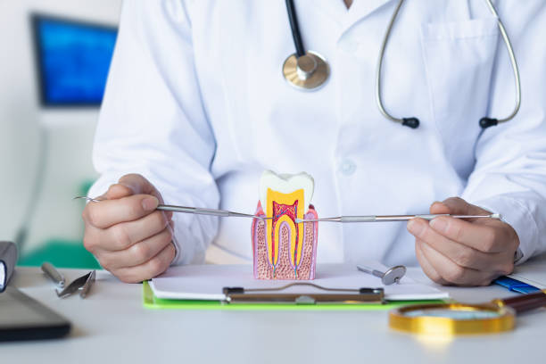 Best Emergency Dentist for Knocked-Out Tooth in Pelican Marsh, FL